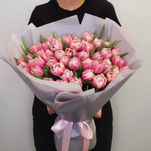 49 пионовидных тюльпан, изображение 2